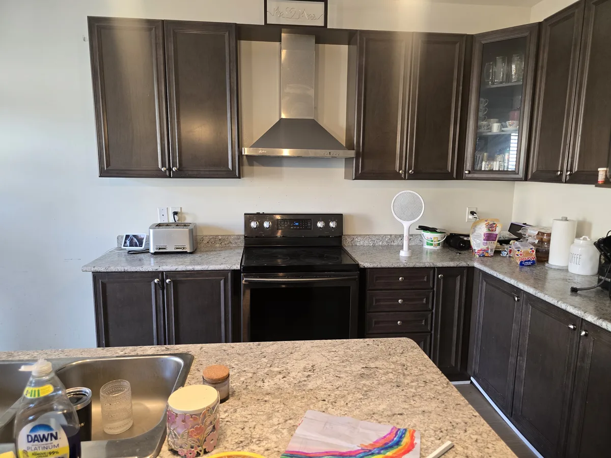 Cabinet painting — Before